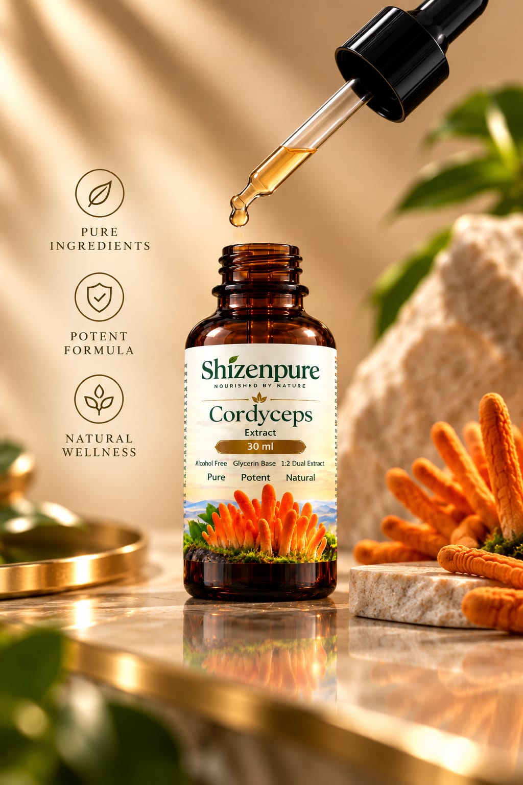 Cordyceps Liquid 1:2 Dual Extract, Alcohol-Free