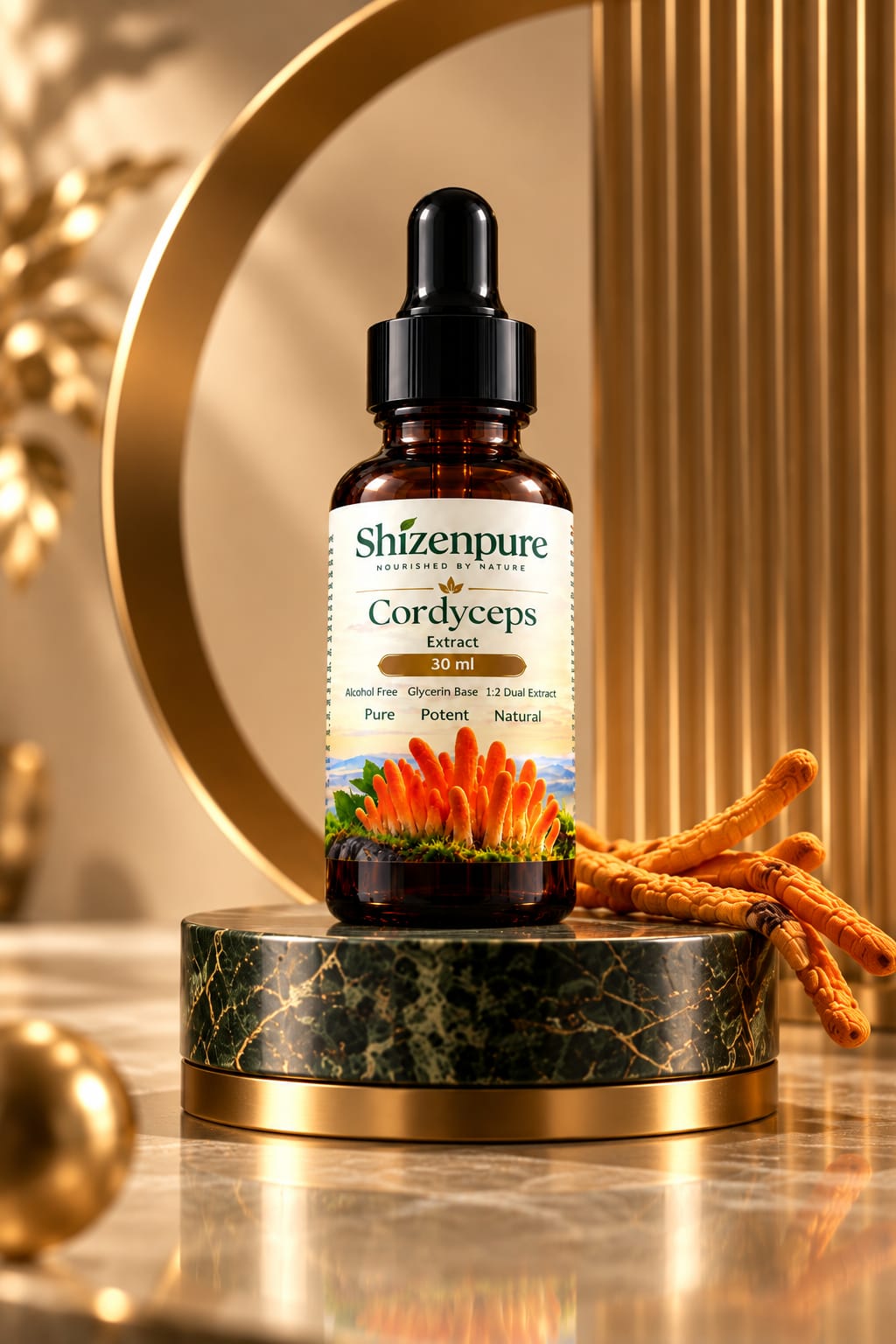 Cordyceps Liquid 1:2 Dual Extract, Alcohol-Free