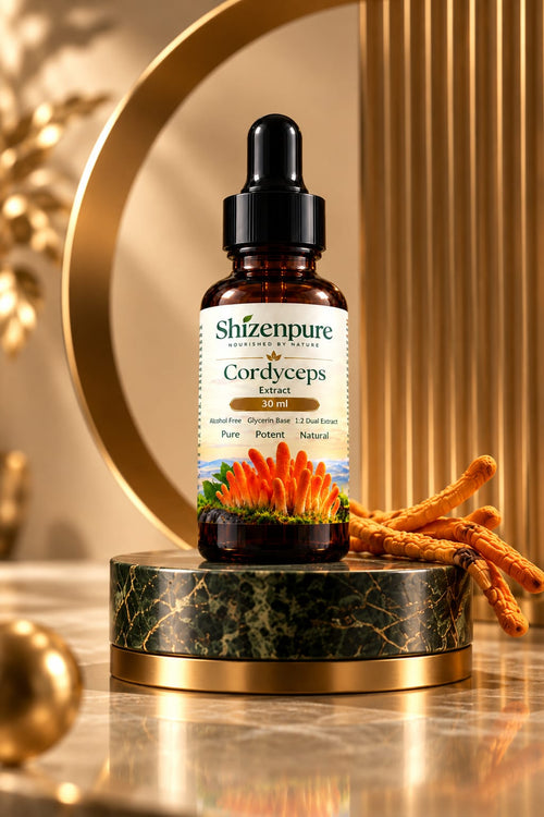 Cordyceps Liquid 1:2 Dual Extract, Alcohol-Free